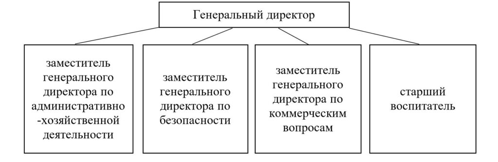 Структура и органы управления организацией